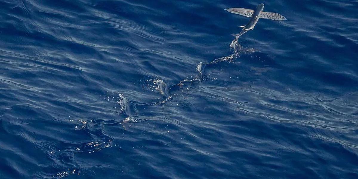 Cláusulas Abusivas en Hipotecas: Guía Completa