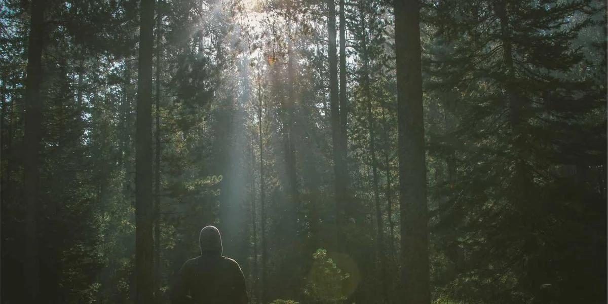 Gastos Deducibles en la Compra de Vivienda España